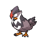 Staraptor