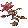 Dragalge