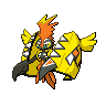 Tapu Koko