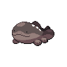 Clodsire