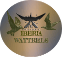 Iberia Wattrels