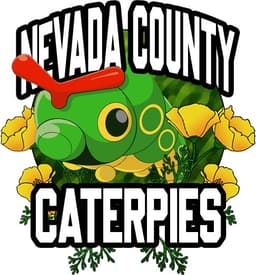 Nevada County Caterpies